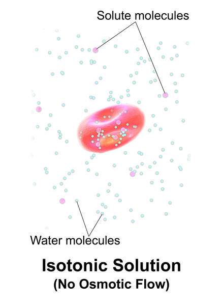 1 4 soluzione isotonica