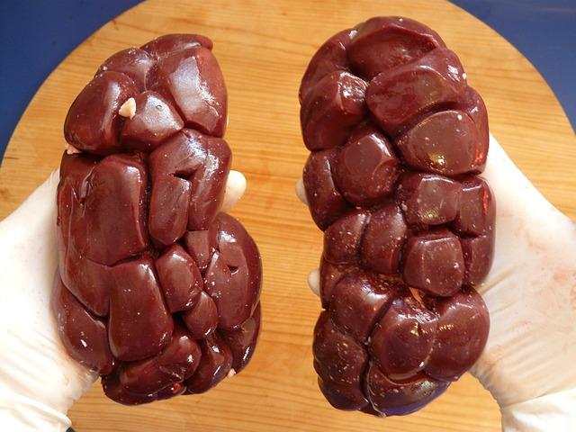 beef kidney 6070 640