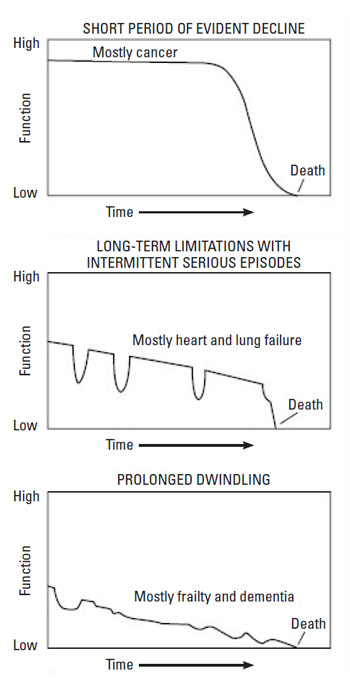 lesioni da pressione analisi grafica