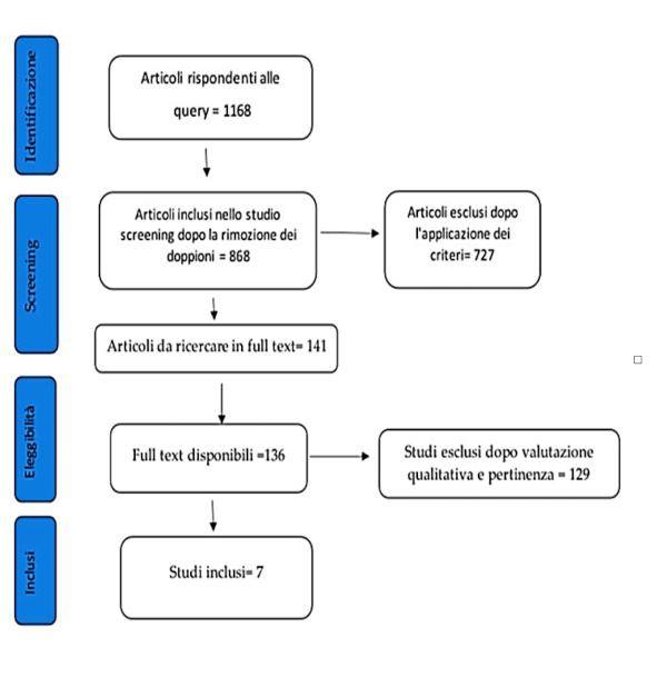 flow char articolo pz psichiatrico