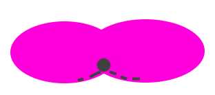 lesione piccola sacro progredisce