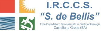 logo irccs de bellis