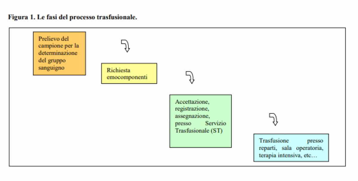 macrofasi trasfusione