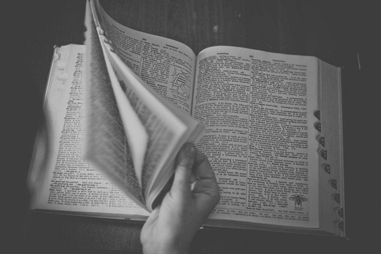 terminologia