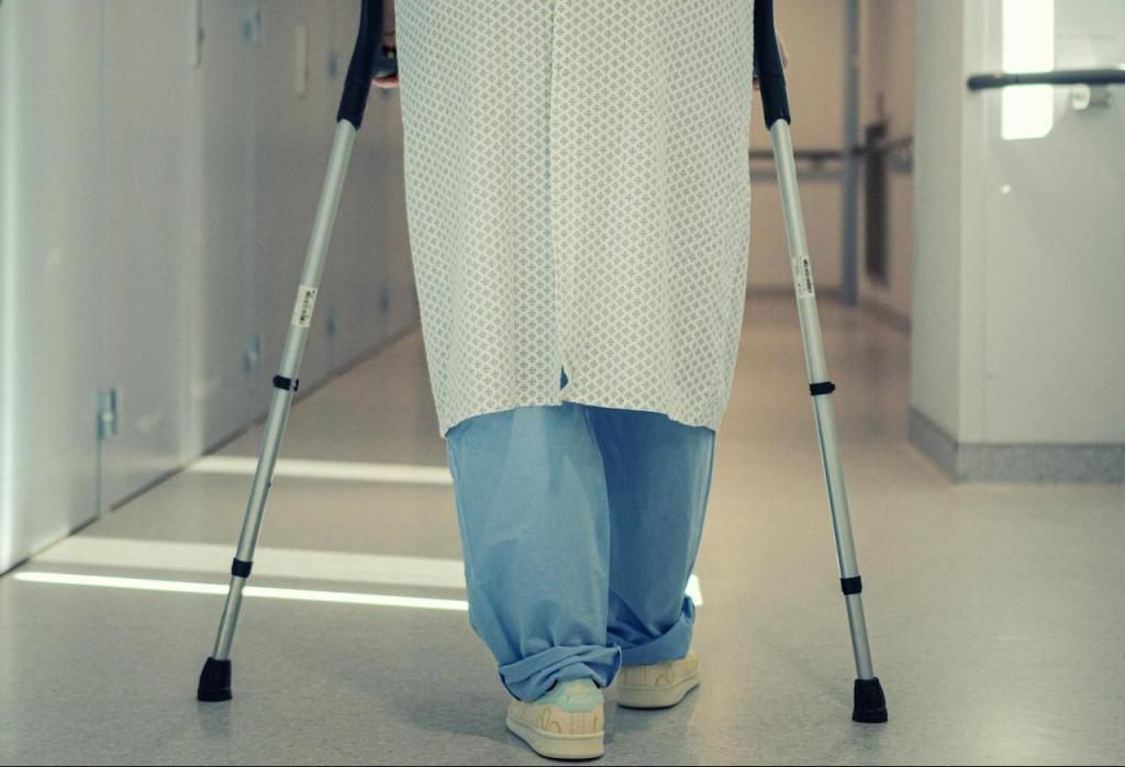 pexels titus fr 24193871