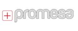 promesa logo sito web